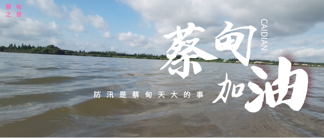 蔡甸區(qū)啟動防汛ⅰ級應(yīng)急響應(yīng)，做好鋪土釘防汛木樁工作