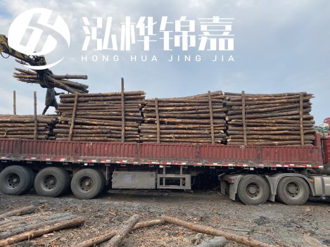 打樁木材為何首選松木？松木樁應該怎么打樁施工