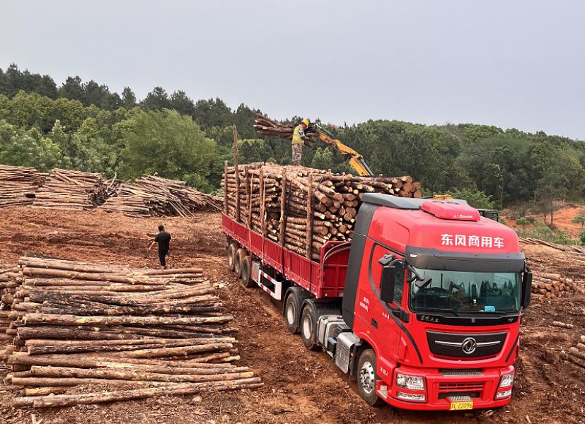 落葉松可以做防腐木嗎，如何制作落葉松防腐木