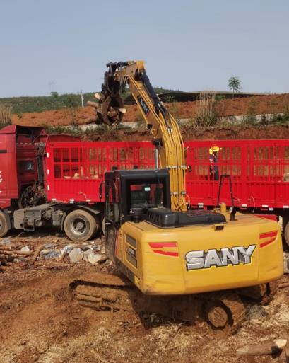 松木原木、松木條，漲勢如虹，現(xiàn)在搶購最劃算(附松木原木供應(yīng)廠家介紹)