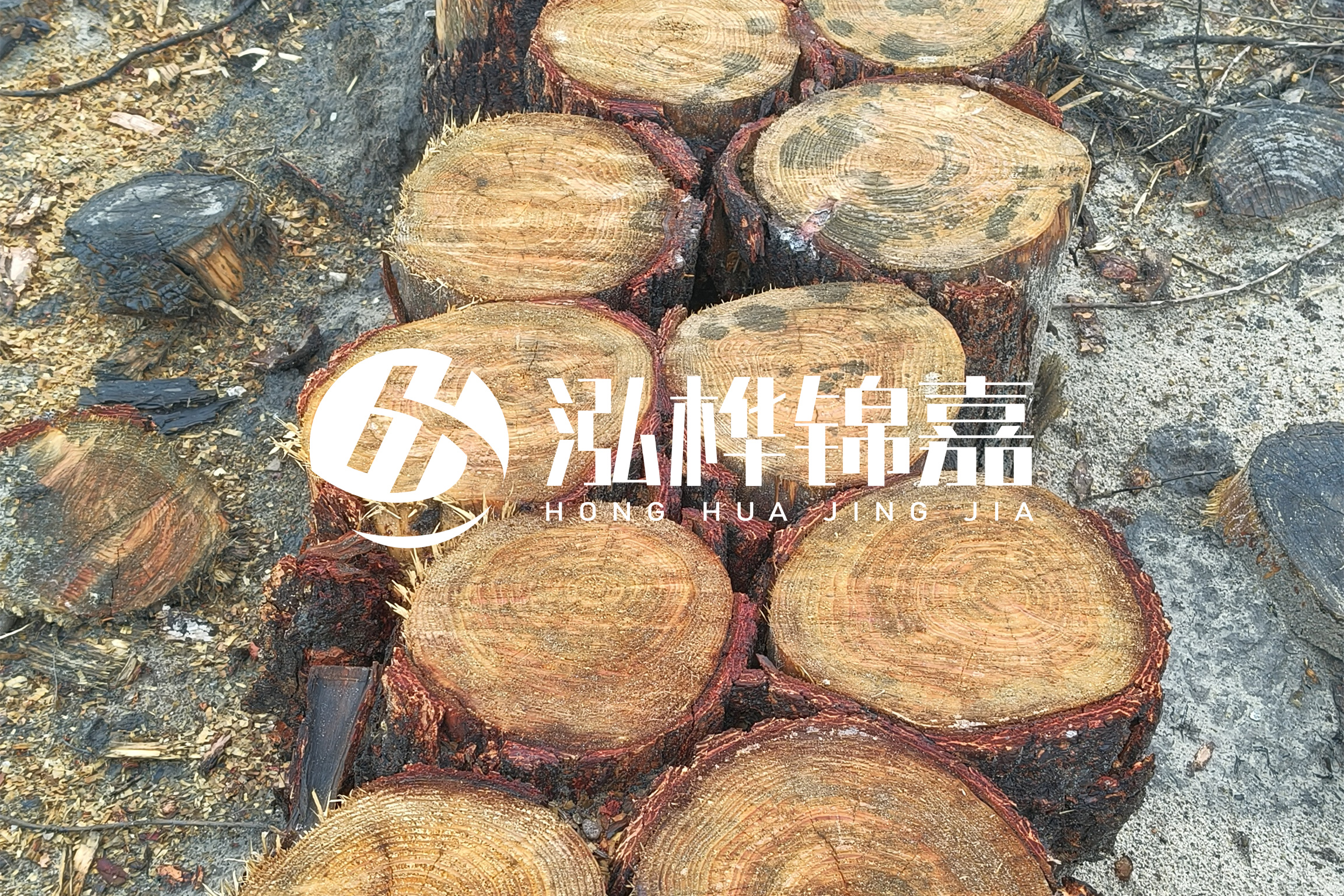 浙江臺州有清淤的公司嗎？浙江臺州有清淤施工隊嗎？