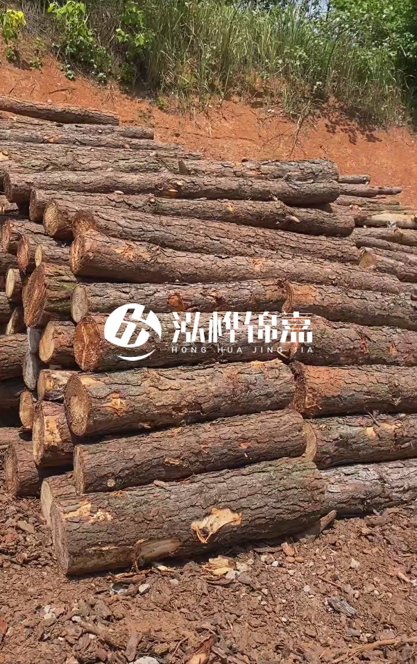 七臺河河道清淤專業(yè)施工-河道清淤的淤泥多久能干？