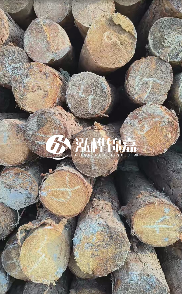 湛江松木樁源頭廠家-松木樁的直徑對河道打樁效果有何影響？