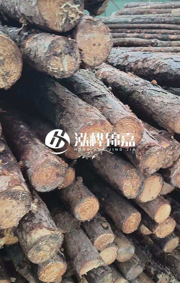 汕尾松木樁源頭廠家-松木樁在水中的耐久性如何？