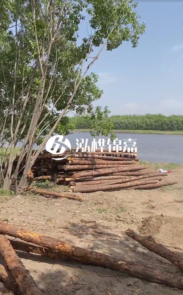 慶陽挖機(jī)打木樁專業(yè)施工-松木打樁過程中如何避免木材開裂？