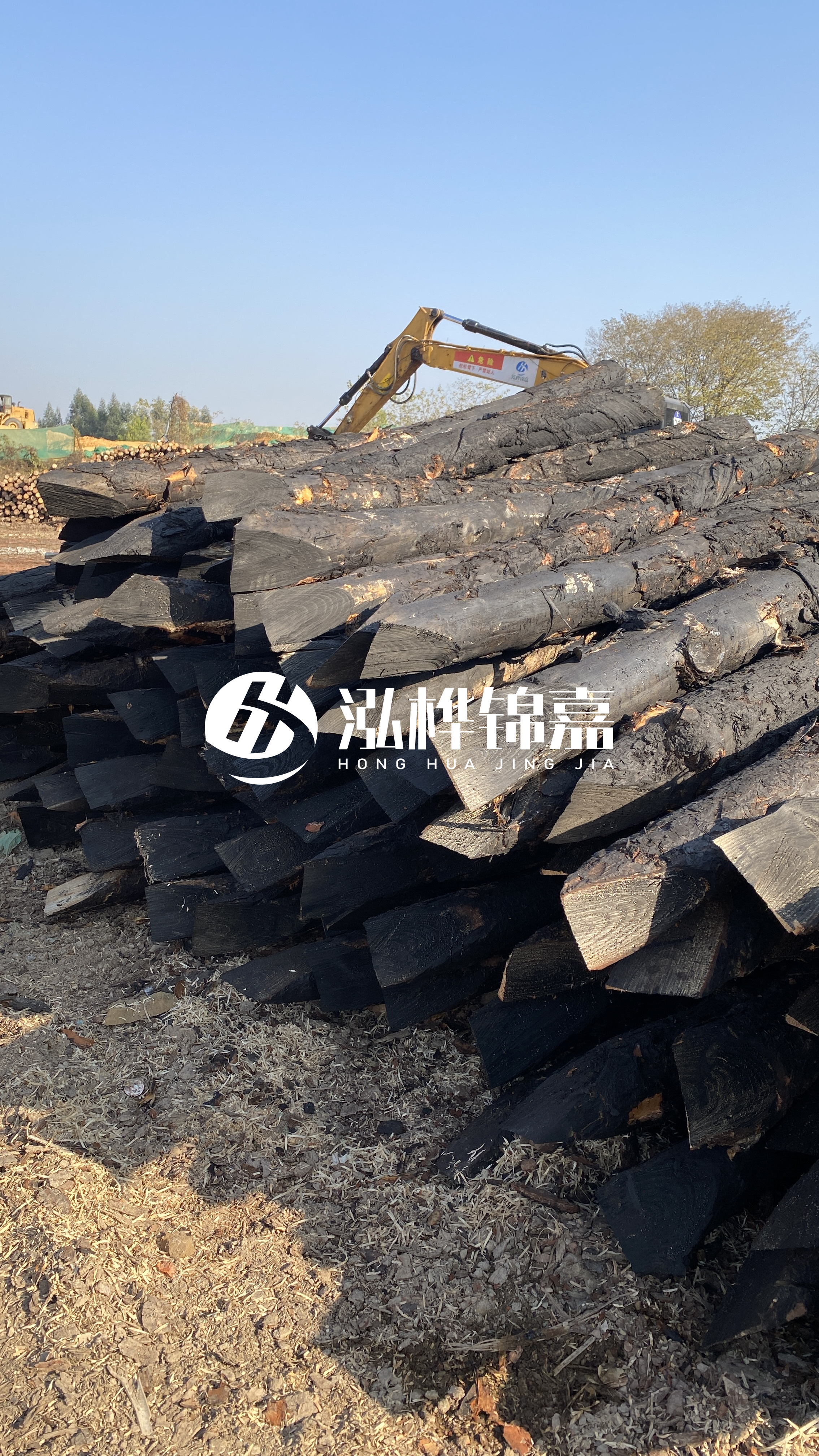 如何辨別優(yōu)質(zhì)的松木樁廠家？助你避開雷區(qū)！