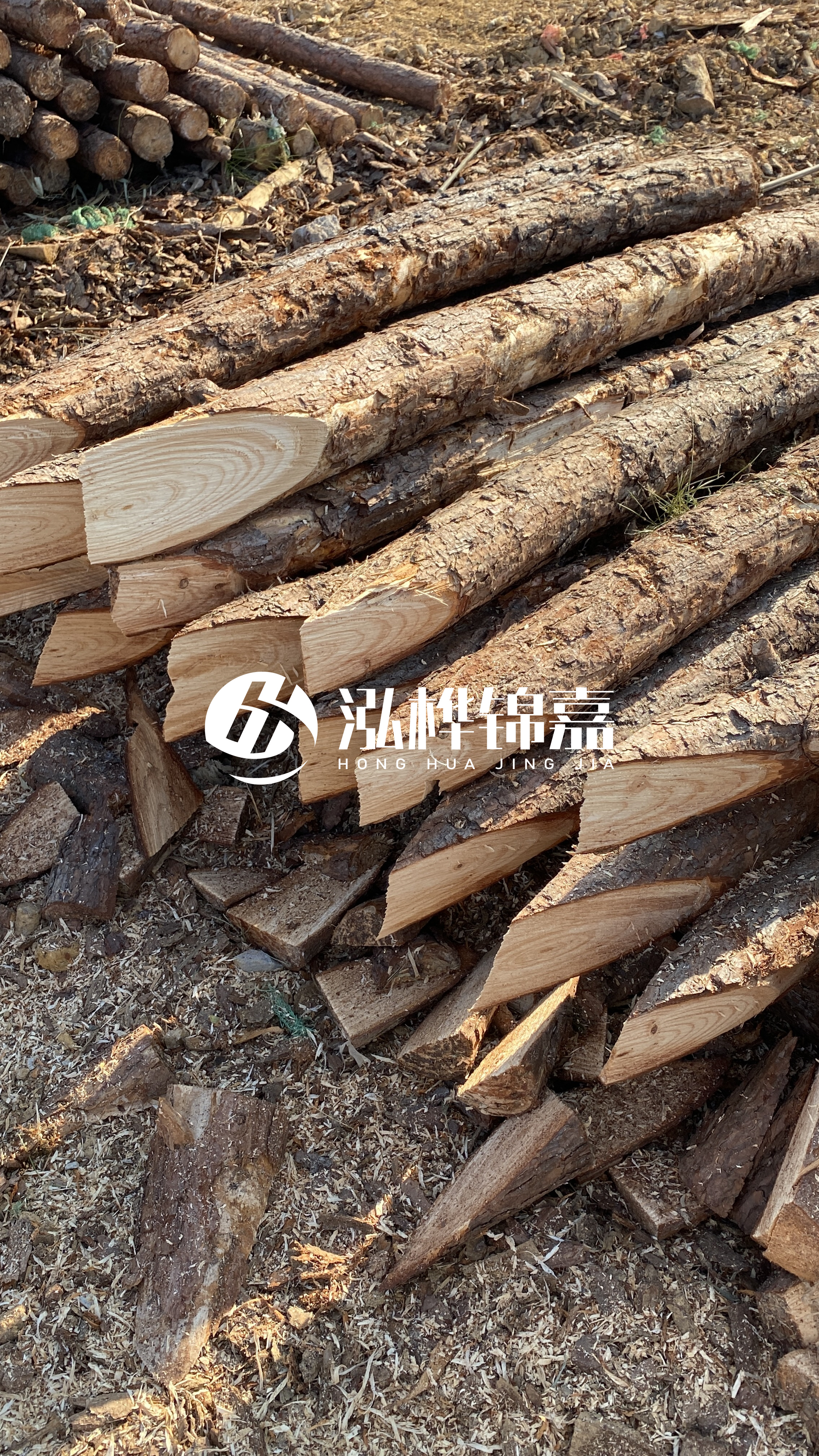 4米小頭直徑10-12公分松木樁價格揭秘：究竟多少錢一根？快來了解！