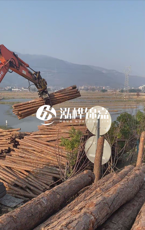 松木樁是否需要削皮呢？松木樁為什么不會(huì)爛掉呢？