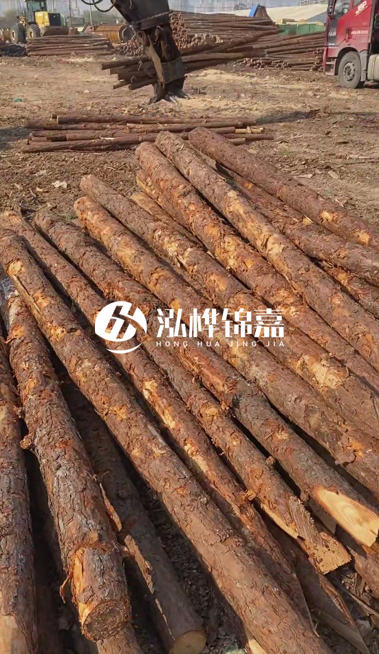 7米松木樁8一12公分價(jià)格？直徑15公分松木樁多少錢(qián)？