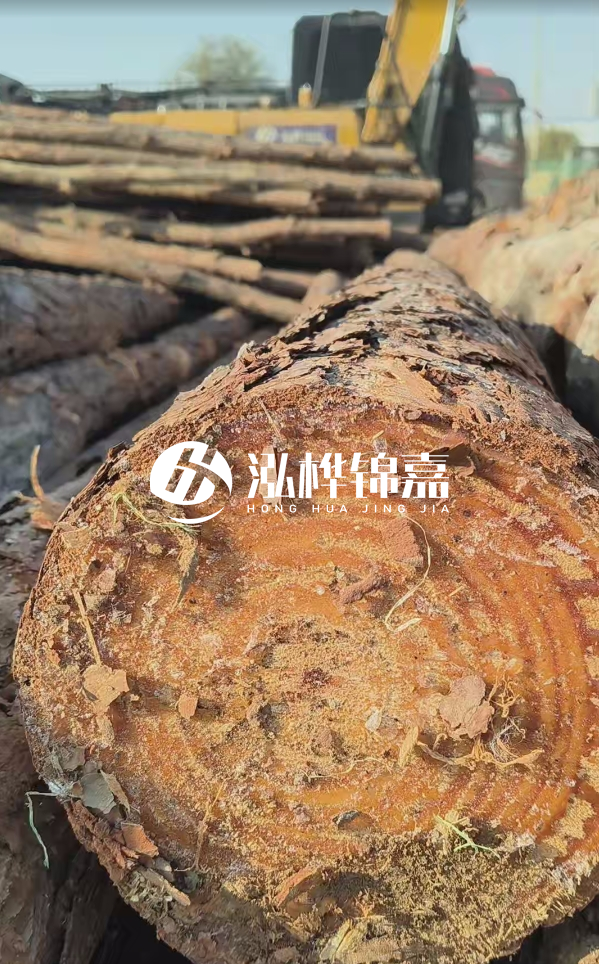 杉木樁價(jià)格多少錢(qián)一方-3米直徑14公分杉木樁價(jià)格？