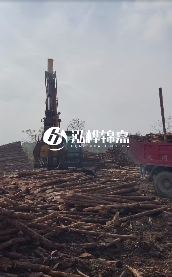 6米打樁木多少錢(qián)一根-6米10-15公分價(jià)格是多少？