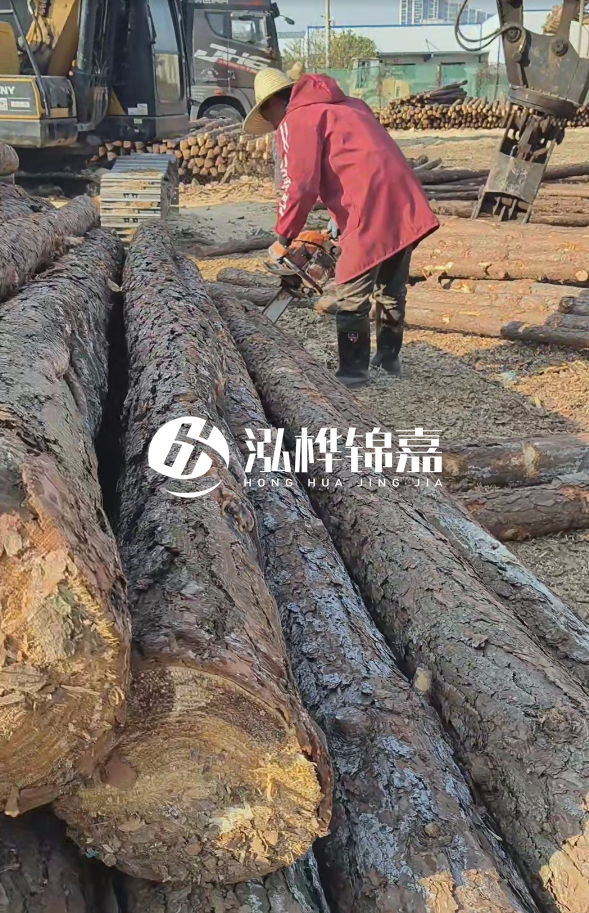 長(zhǎng)沙打樁木批發(fā)廠家在哪里？聯(lián)系方式是什么？