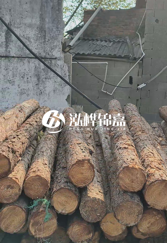 1.5米至2米長松木樁價格表-10-12公分大概多少錢一根？