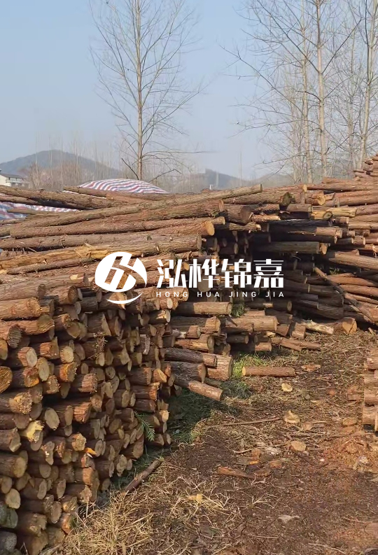 貴州打樁木材價格多少-打樁木材價格多少錢一立方？