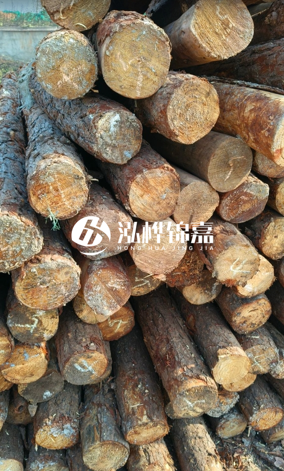 油松3米12公分多少錢一根？油松4米12公分多少錢一根？