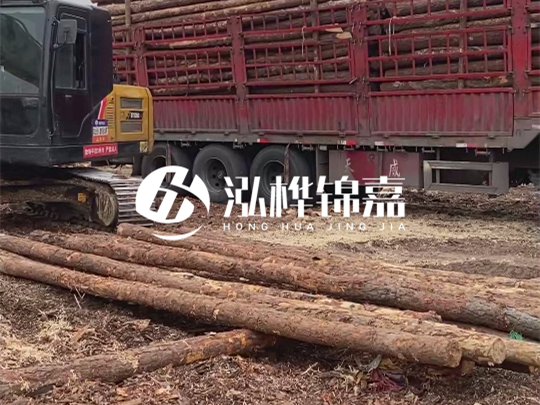 江西2米10-12松木樁多少錢一根？10-15公分價格又是多少？