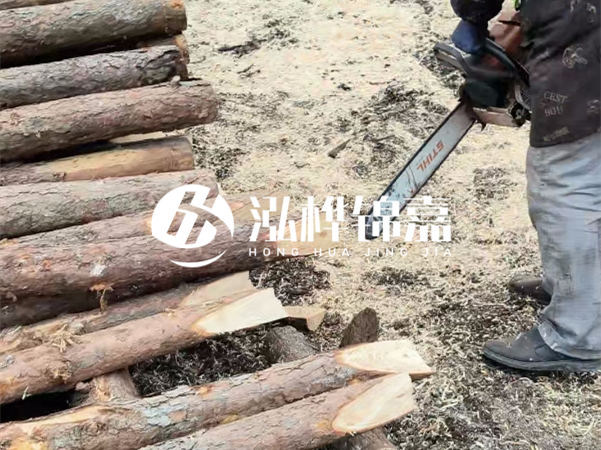 杉木樁批發(fā)廠家哪家好？產(chǎn)地直供渠道推薦！