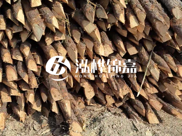 2.5米松木樁大頭15CM多少錢一根？20CM多少錢一根？