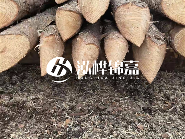 打樁木樁與鋼樁相比有哪些優(yōu)缺點？如何進行后期維護？