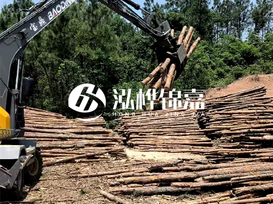 3米松木樁小頭10公分多少錢一根？大頭10公分又是多少錢？