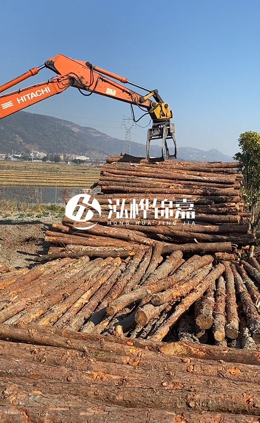 帶皮松木樁的防腐效果如何？和不帶皮松木樁價(jià)格差異有多大？
