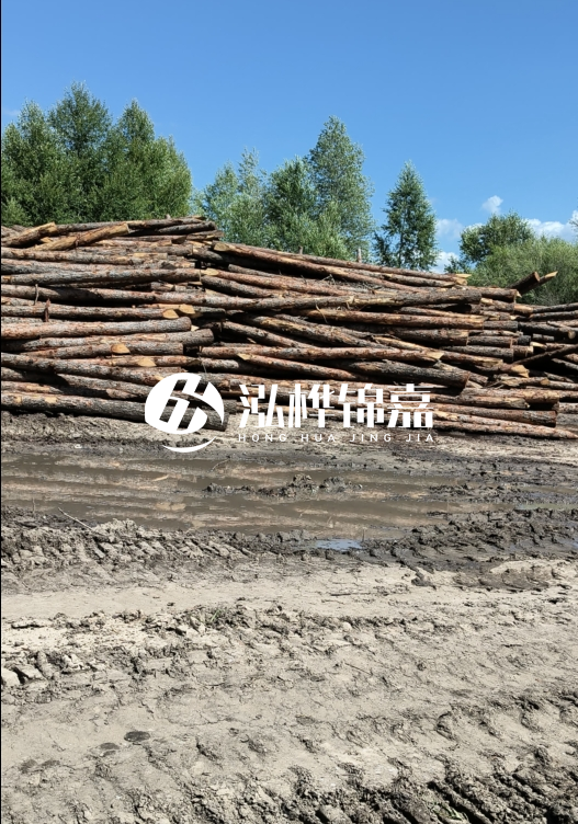 3米松木樁適合河道護坡嗎？小頭直徑8厘米的松木樁價格如何？