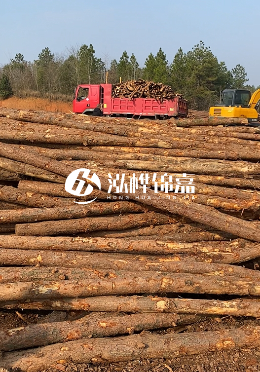 8米小頭11-13CM的松木樁價格是多少？打樁施工怎么算？
