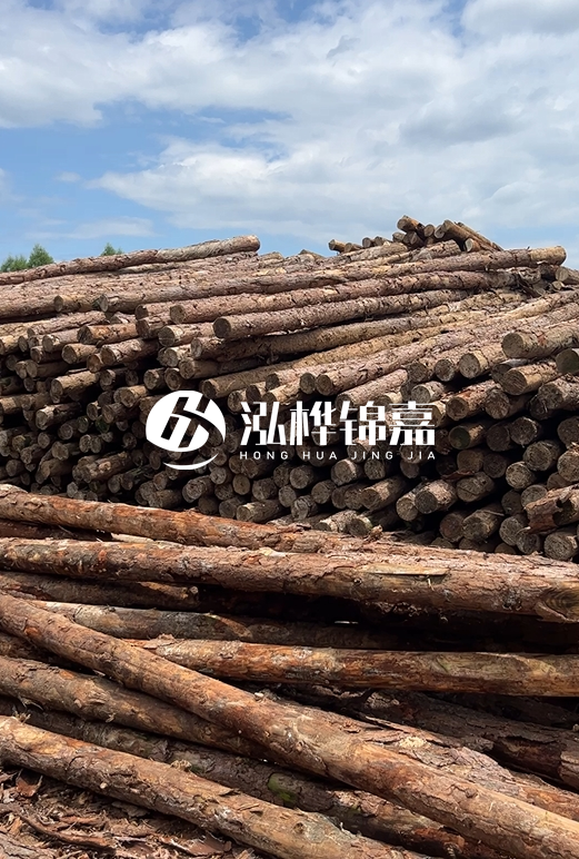 福建松木樁源頭廠家泓樺錦嘉-4.5米松木樁大頭15CM多少錢？