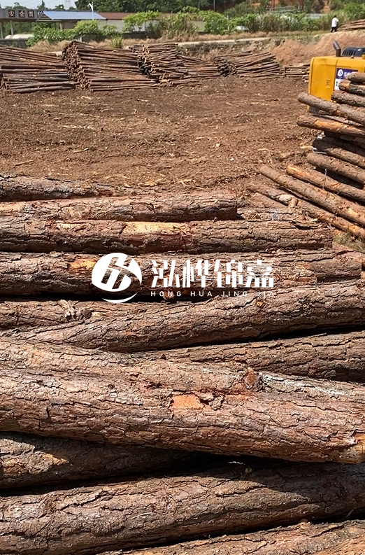 陜西河道木樁源頭廠家泓樺錦嘉-3米大頭11-13厘米多少錢一根？