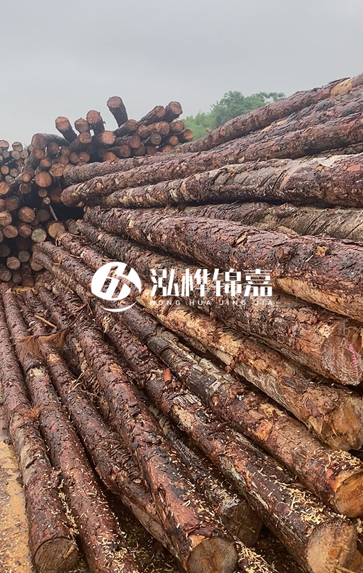 購買松木樁注意事項(xiàng)有哪些-不同直徑松木樁區(qū)別有哪些？