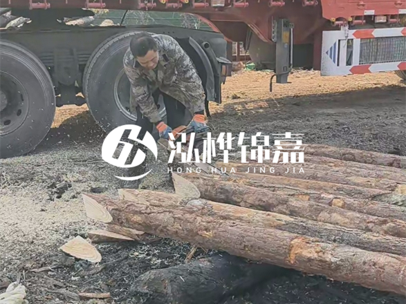 松木圓木價格大概多少一方-松木樁廠家按方可以賣嗎？