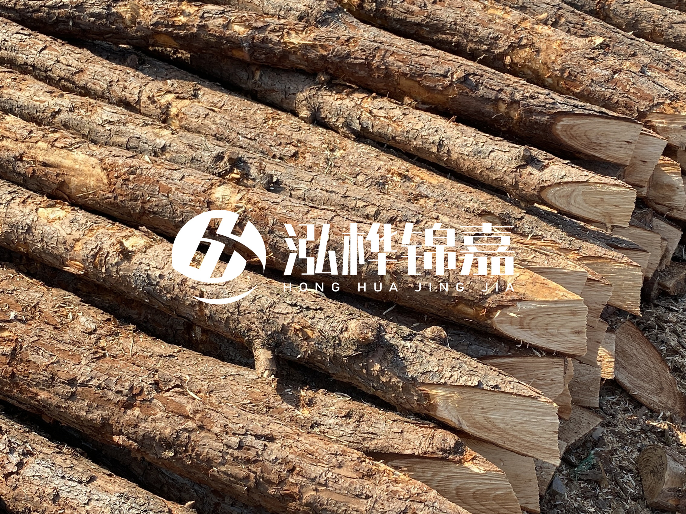 8 米超大直徑松木樁的價(jià)格是多少？帶皮和去皮松木樁價(jià)格差多少？