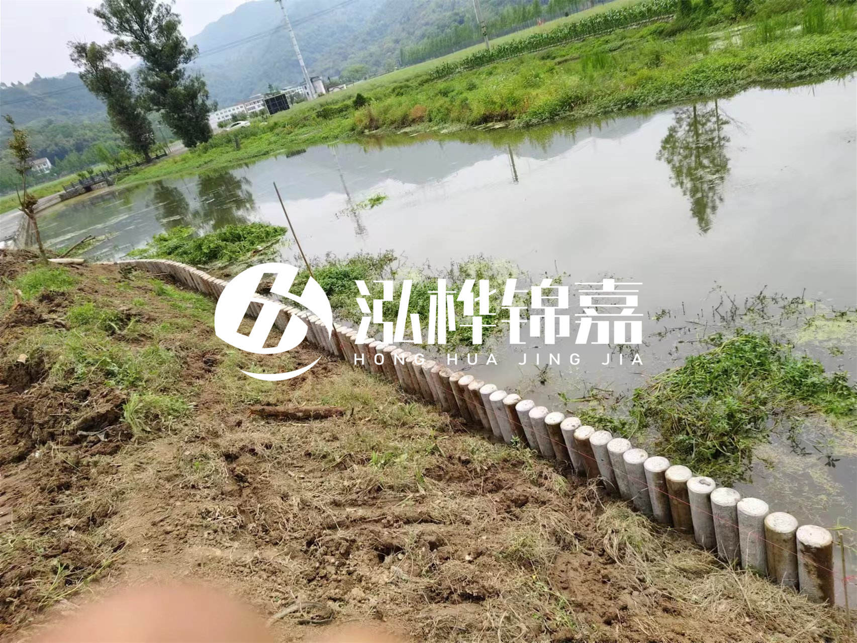 松木樁加固河道與水泥樁對(duì)比如何？哪一種更加適合您？