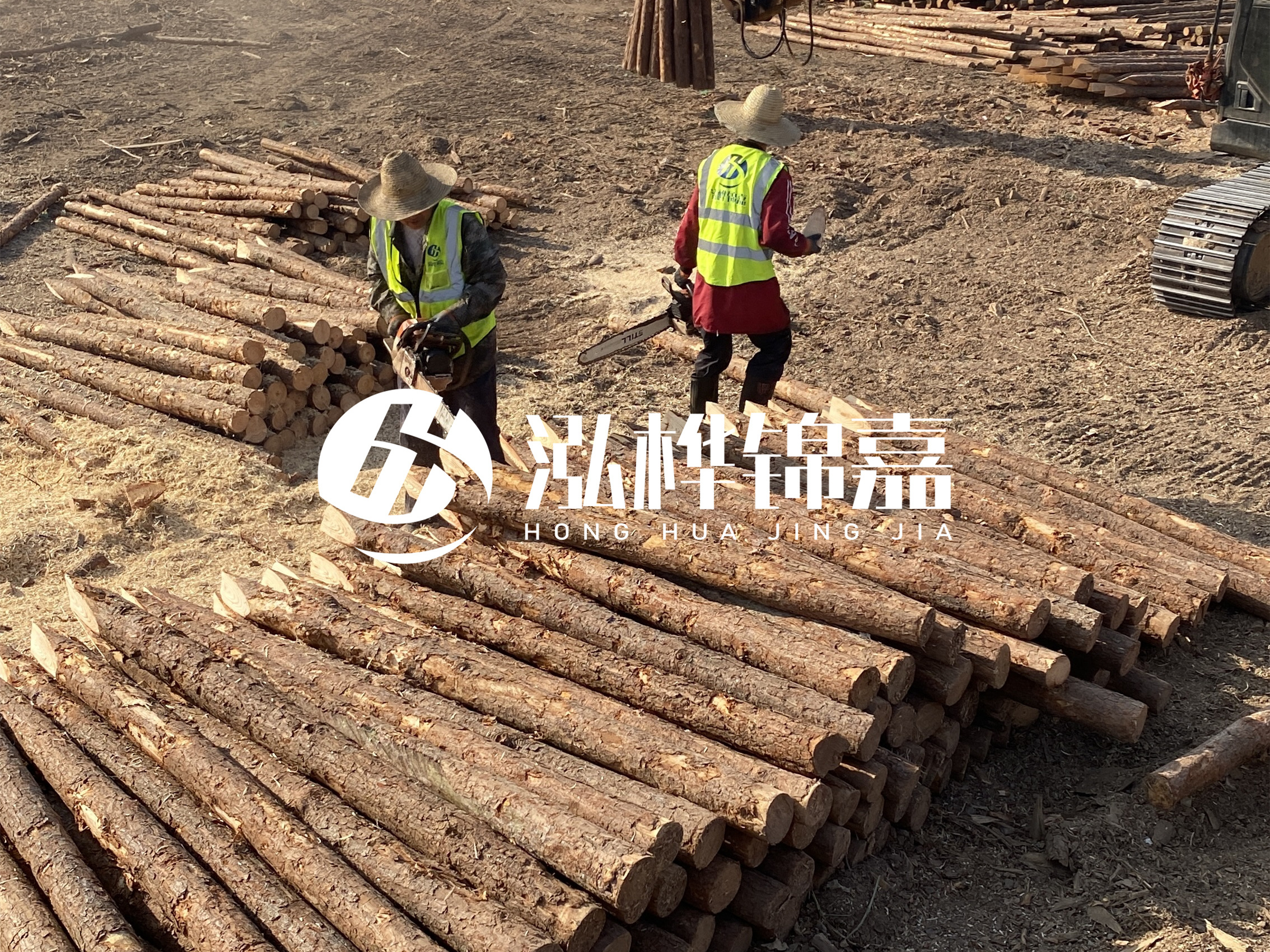 河道木樁報(bào)價(jià)在汛期前后會(huì)有波動(dòng)嗎？什么時(shí)候買最便宜？