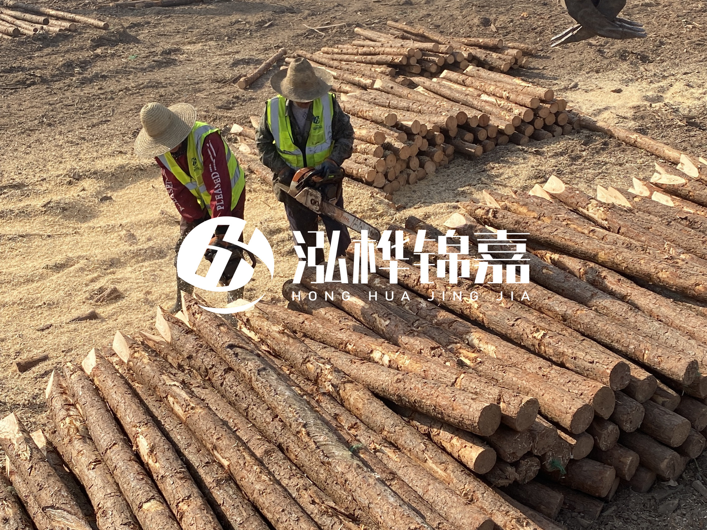 河北打樁木廠家主要生產(chǎn)哪些材質(zhì)的打樁木？產(chǎn)品有哪些規(guī)格？