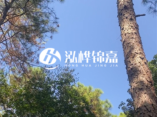 松木樁廠家的供貨能力強(qiáng)不強(qiáng)-怎么才能聯(lián)系到松木樁廠家？