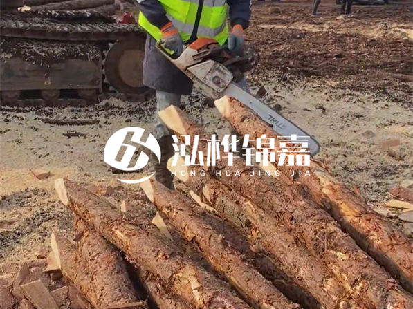 松木樁河道護(hù)坡怎么施工？打樁多少錢一根？
