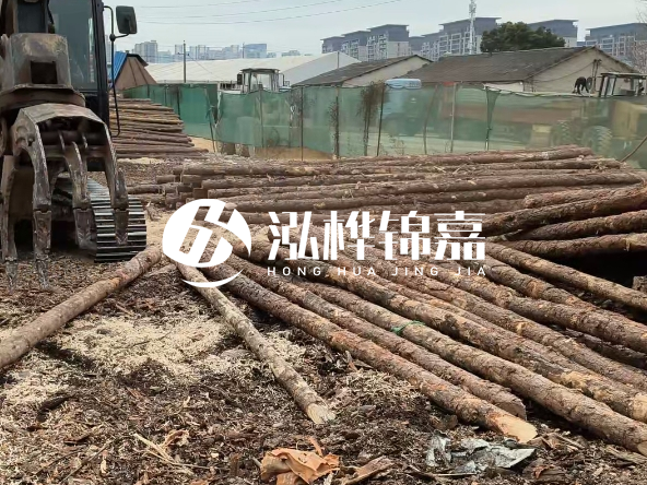 2 米長度松木樁多少錢？松木樁 10 一 15 公分價格？