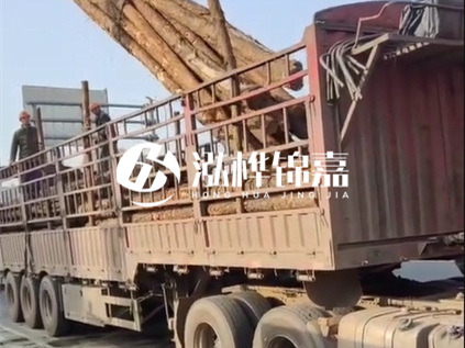 4米長(zhǎng)杉木10公分價(jià)格-4.5米直徑15cm 杉木多少錢？