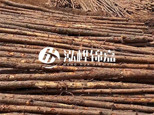 10公分的木材多少根為一方 - 4米10公分樹多少根為一方？