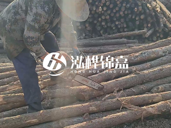 廣東打樁木源頭廠家泓樺錦嘉 - 如何選擇適合特定邊坡的松木樁？