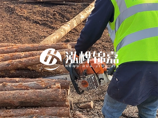 河道打木樁多少錢一根？5米直徑10松木樁打樁多少錢？