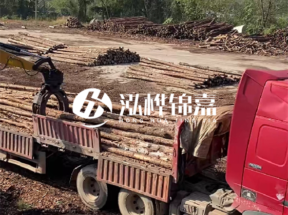 四川松木樁廠家泓樺錦嘉-哪一種打樁木最便宜？