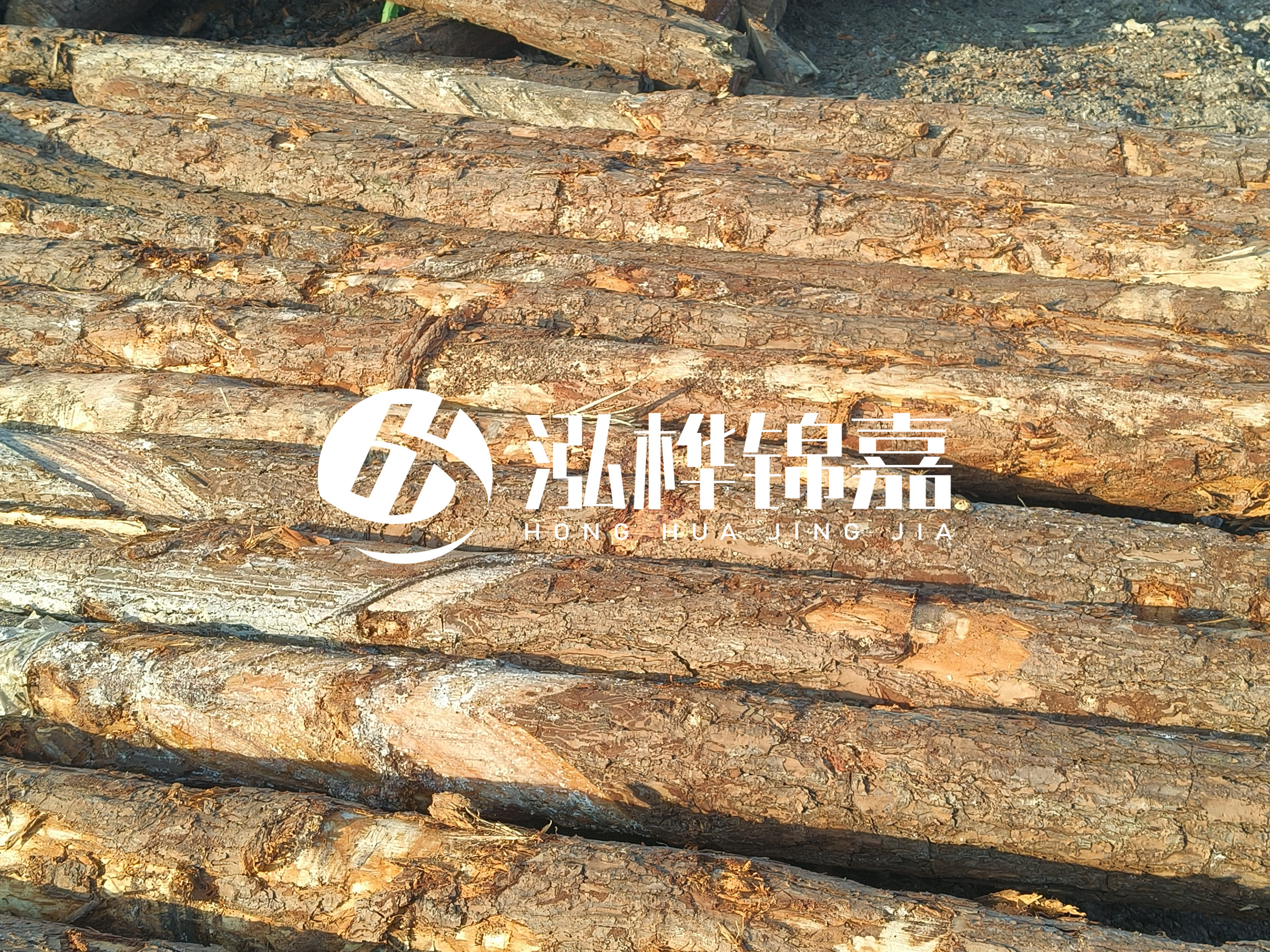 河道木樁的含水率過(guò)高會(huì)有什么問(wèn)題？怎么檢查松木樁含水率？