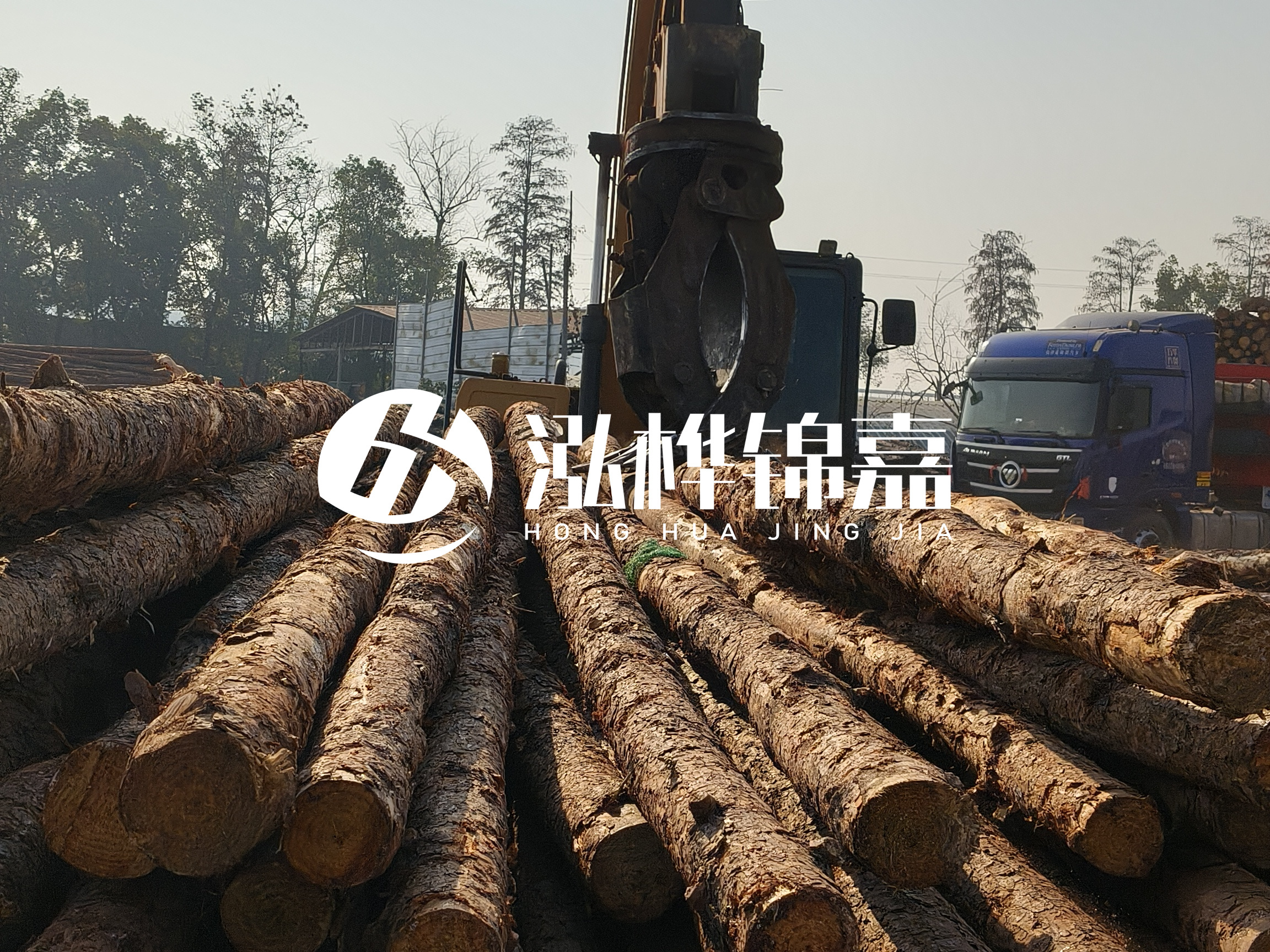 松木樁可以用來做什么？常用于哪些工程？