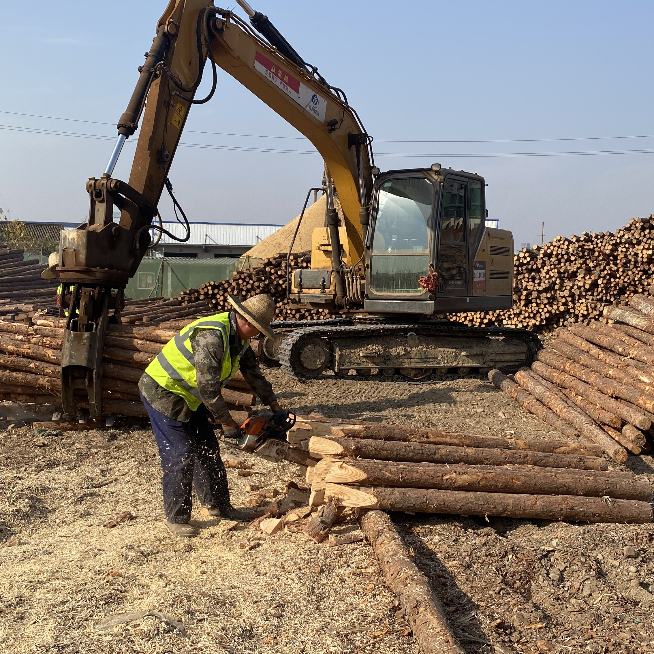 松木樁廠家泓樺錦嘉-工程打樁木選擇落葉松還是濕地松更耐腐蝕？