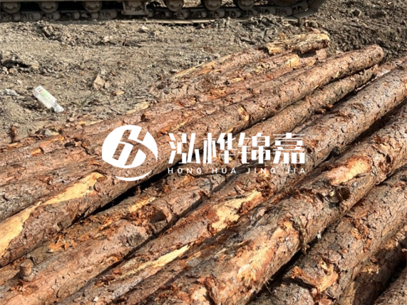 松木樁廠家泓樺錦嘉-原木松木樁的材質(zhì)是落葉松還是濕地松好？