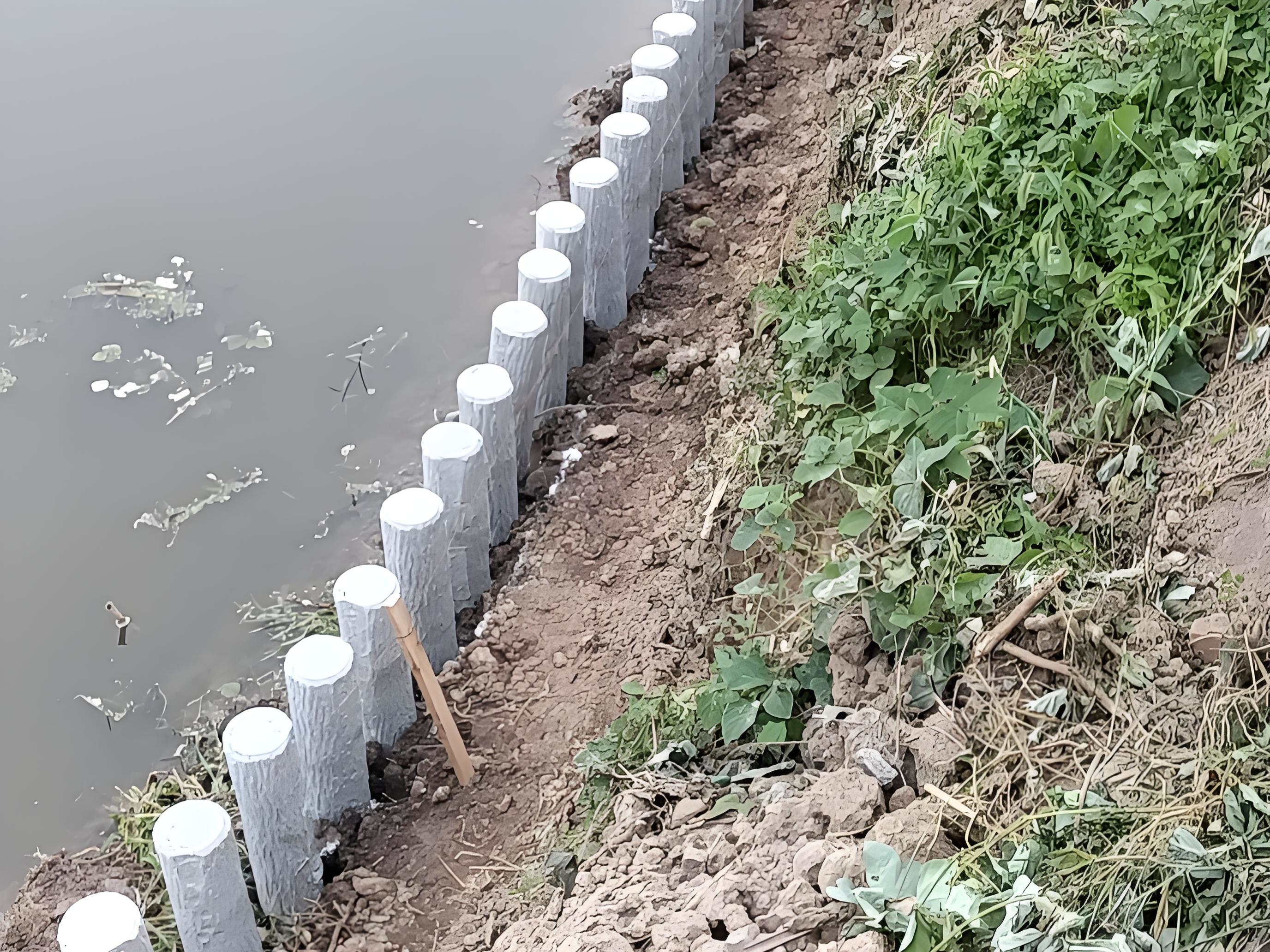 水泥仿木樁施工隊泓樺錦嘉-水泥仿木樁適合用于河道防護(hù)嗎？