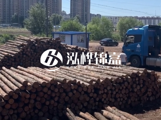 水泥仿木樁施工隊(duì)泓樺錦嘉 - 水泥樁引孔的深度和直徑如何確定？