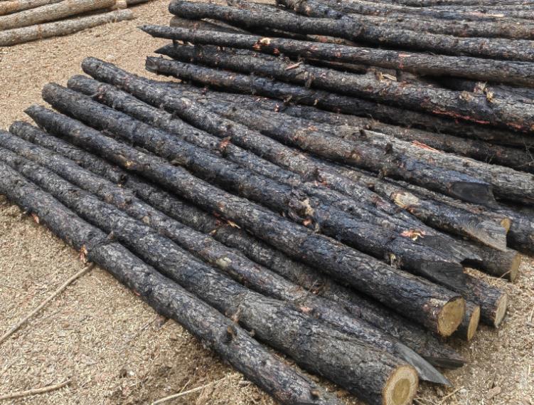 松木樁是什么基礎的